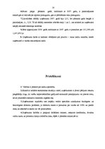 Prakses atskaite 'Prakse komercdarbības organizēšanā', 28.