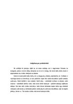 Referāts 'Stratēģiskā vadīšana', 6.