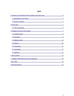 Referāts 'Spānijas ekonomiskā attīstība no 1920.gada līdz 1929.gadam', 2.
