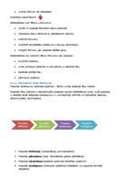 Konspekts 'Projektu vadība', 10.