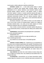 Referāts 'Mazie un vidējie uzņēmumi un to attīstība Latvijā', 4.