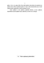 Referāts 'Mazie un vidējie uzņēmumi un to attīstība Latvijā', 7.