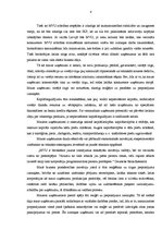 Referāts 'Mazie un vidējie uzņēmumi un to attīstība Latvijā', 8.