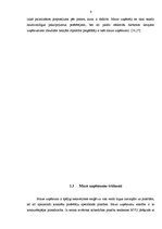 Referāts 'Mazie un vidējie uzņēmumi un to attīstība Latvijā', 9.