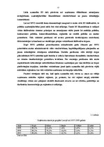 Referāts 'Mazie un vidējie uzņēmumi un to attīstība Latvijā', 17.