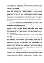 Referāts 'Mazie un vidējie uzņēmumi un to attīstība Latvijā', 23.