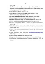 Referāts 'Mazie un vidējie uzņēmumi un to attīstība Latvijā', 29.