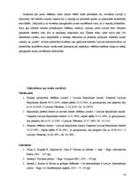 Referāts 'Vēlēšanu veidi un to raksturojums', 19.