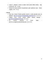 Referāts 'Vēlēšanu veidi un to raksturojums', 20.