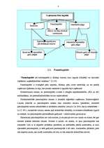 Referāts 'Pašu kapitāla sastāvs un uzskaites problēmas', 4.