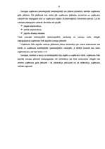 Referāts 'Pašu kapitāla sastāvs un uzskaites problēmas', 16.