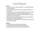 Referāts 'Pašu kapitāla sastāvs un uzskaites problēmas', 19.