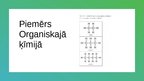 Prezentācija 'Organisko vielu klasifikācija', 6.