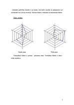 Paraugs 'Mājas darbs studiju kursā "Mārketings"', 5.
