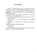 Referāts 'Samazināta uztura bīstamība. Anoreksija un bulīmija', 16.