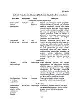 Biznesa plāns 'Projekts - atpūtas parka izveide', 17.