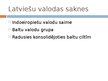 Prezentācija 'Latviešu literārās valodas veidošanās', 2.