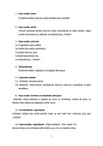 Paraugs 'Bērnu dejas metodikas stundas apraksts', 2.