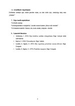 Paraugs 'Bērnu dejas metodikas stundas apraksts', 6.