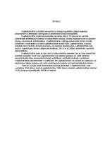 Referāts 'Uzņēmējdarbība', 1.