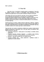 Diplomdarbs 'Sporta preču veikala izveides priekšnosacījumi un attīstības iespējas Valmierā', 13.