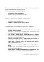 Diplomdarbs 'Sporta preču veikala izveides priekšnosacījumi un attīstības iespējas Valmierā', 22.