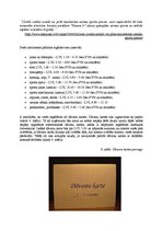 Diplomdarbs 'Sporta preču veikala izveides priekšnosacījumi un attīstības iespējas Valmierā', 37.
