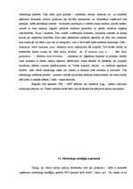 Referāts 'Uzņēmuma raksturojums', 17.