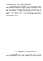 Referāts 'Uzņēmuma raksturojums', 18.