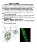 Konspekts 'Protistu valsts', 8.
