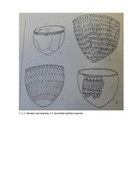 Referāts 'Sārnates apmetne', 12.