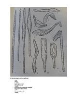 Referāts 'Sārnates apmetne', 14.