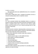 Referāts 'Bagātību sadales nevienlīdzības problēmas Latvijā un pasaulē', 5.