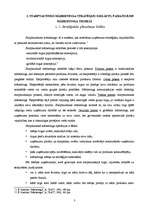 Referāts 'Starptautiskā mārketinga stratēģiju koncepcijas', 3.