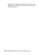 Referāts 'Starptautiskā mārketinga stratēģiju koncepcijas', 6.