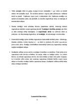 Referāts 'Starptautiskā mārketinga stratēģiju koncepcijas', 10.