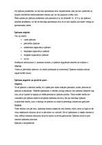 Konspekts 'Likuma panta iztulkošana un interpretācija', 2.