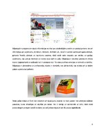 Referāts 'Pētījums par uzņēmuma Lattelecom pozicionēšanos un tēla veidošanu', 8.