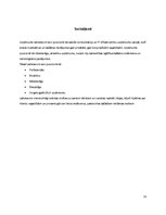 Referāts 'Pētījums par uzņēmuma Lattelecom pozicionēšanos un tēla veidošanu', 15.