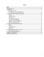 Referāts 'Viesnīcas X mikro un makro vides analīze', 4.