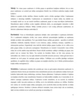 Referāts 'Viesnīcas X mikro un makro vides analīze', 6.