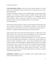 Referāts 'Viesnīcas X mikro un makro vides analīze', 11.