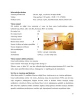 Referāts 'Viesnīcas X mikro un makro vides analīze', 15.