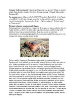 Konspekts 'Gulivera ceļojumi', 1.