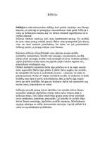 Eseja 'Inflācija', 1.