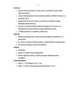 Referāts 'Reklāma', 3.