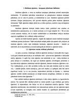 Referāts 'Reklāma', 8.