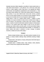 Referāts 'Reklāma', 13.