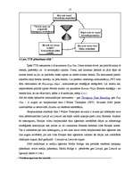 Referāts 'Reklāma', 16.