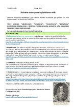 Konspekts 'Kultūras mantojuma saglabāšanas veidi', 1.